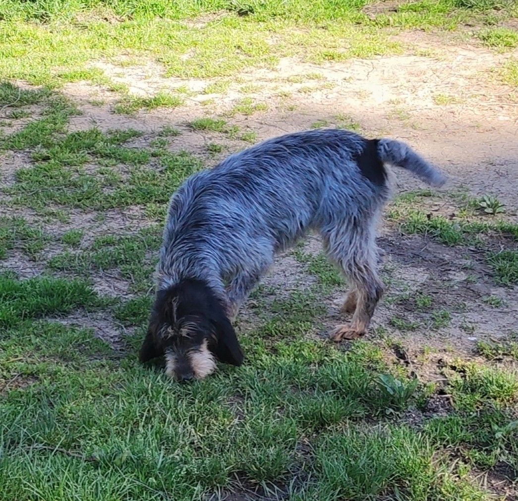 Relka de la vallée de l'Arcomie