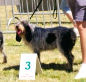 Ruby de la vallée de l'Arcomie